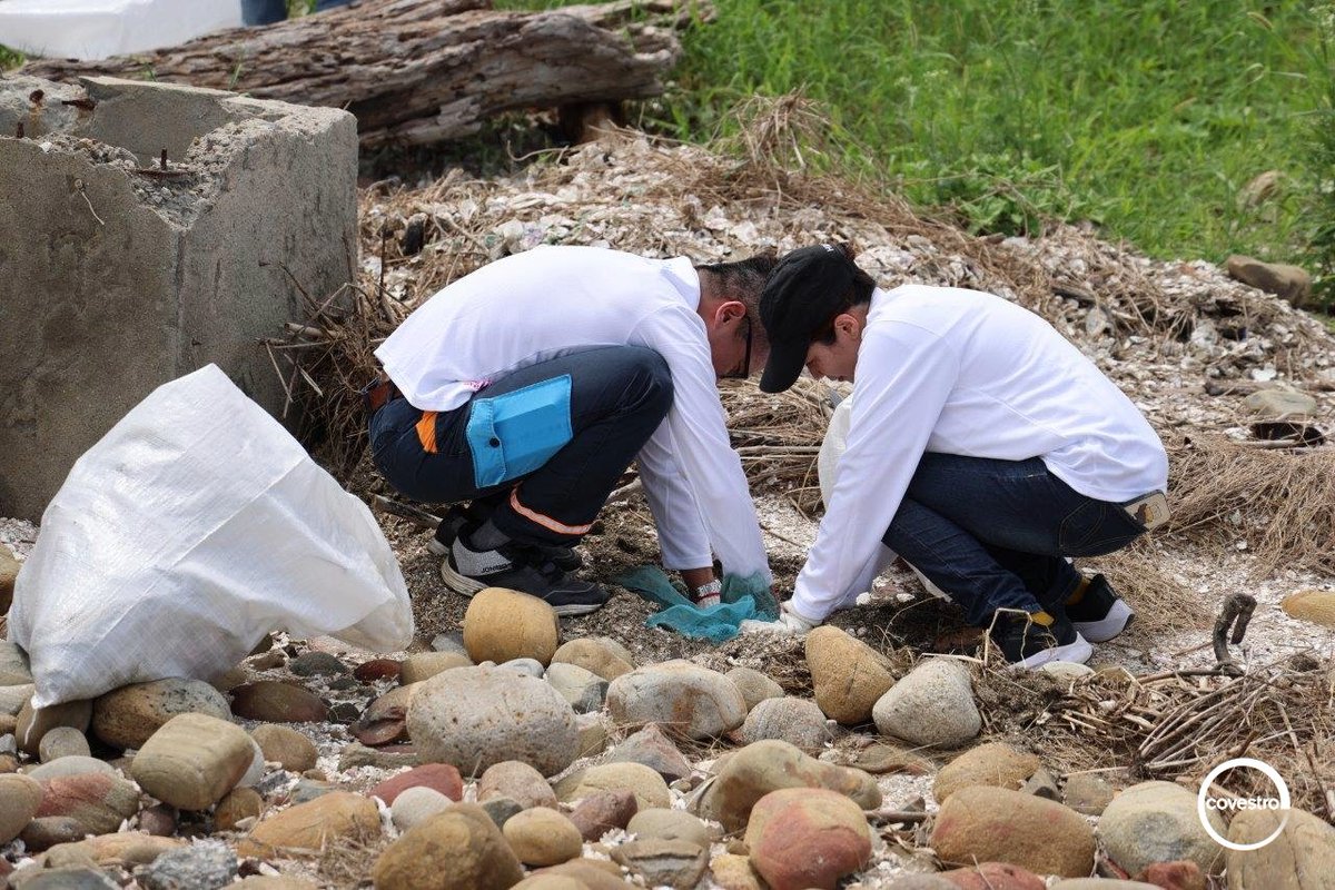 covestro's tweet image. Last month, 32 of our colleagues from Taiwan teamed up with @Wilderness to clean up beautiful Shengang Wetland in Changhua. 🌊 
This cleanup is a powerful reminder that every action counts on our journey to become #FullyCircular. Well done, Covestro Taiwan! 👏
