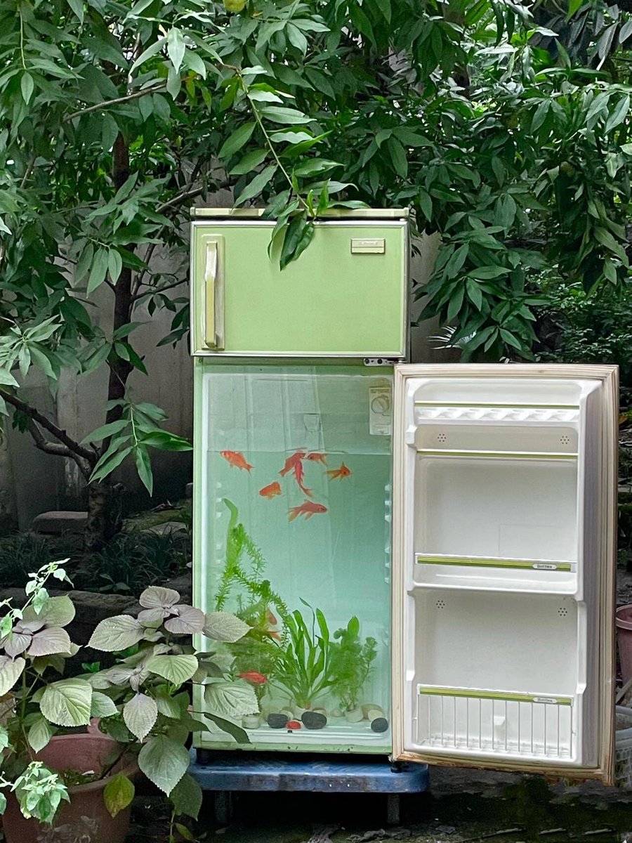 cuteee_all's tweet image. My fish tank.🐟🫧