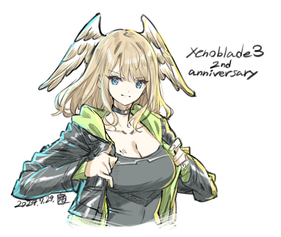 【ゆゆさま専用】ゼノブレイド2とゼノブレイド3の2つおまとめ ゆゆさま専用】ゼノブレイド2とゼノブレイド3の2つおまとめ ゆゆ