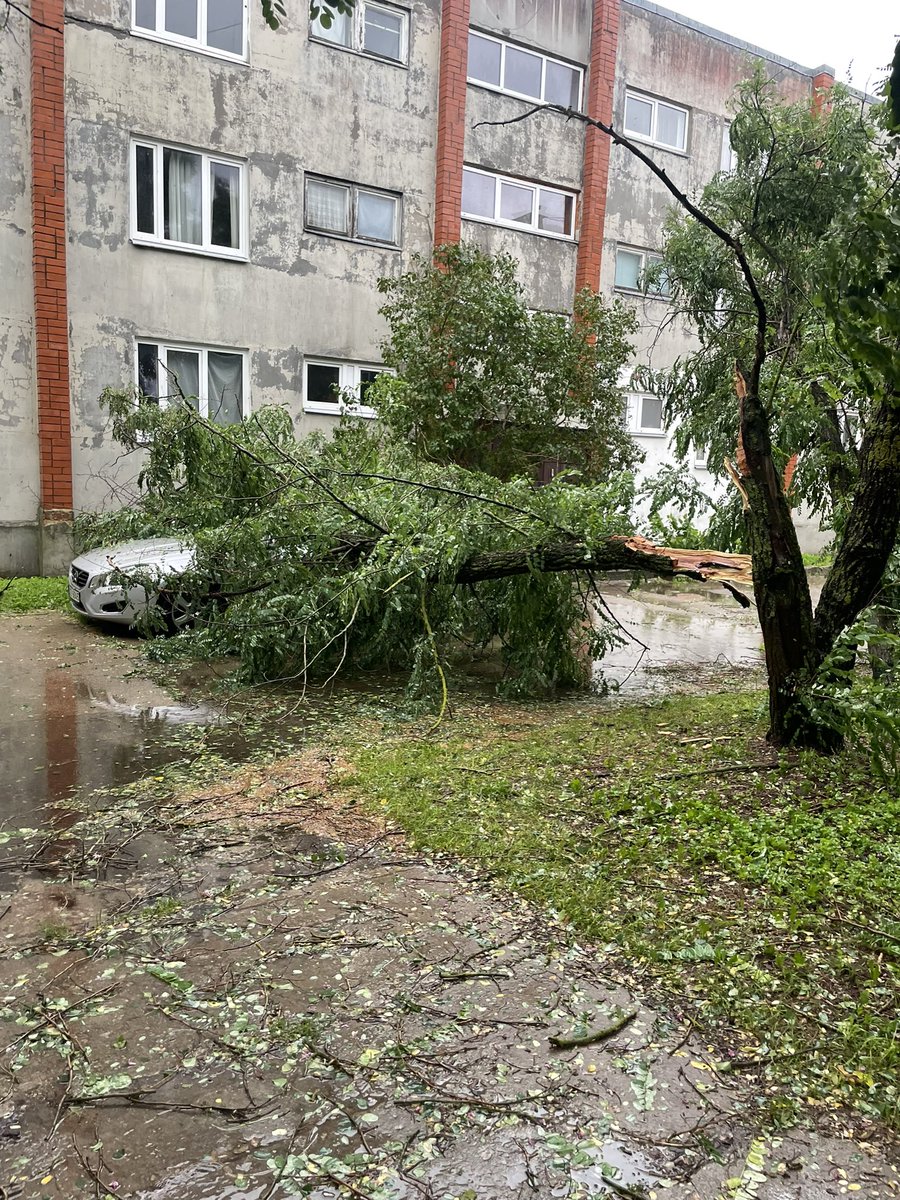 MStulbergs's tweet photo. Vētras skati Lapmežciemā! 🌬️ https://t.co/aQwe5Fcicw