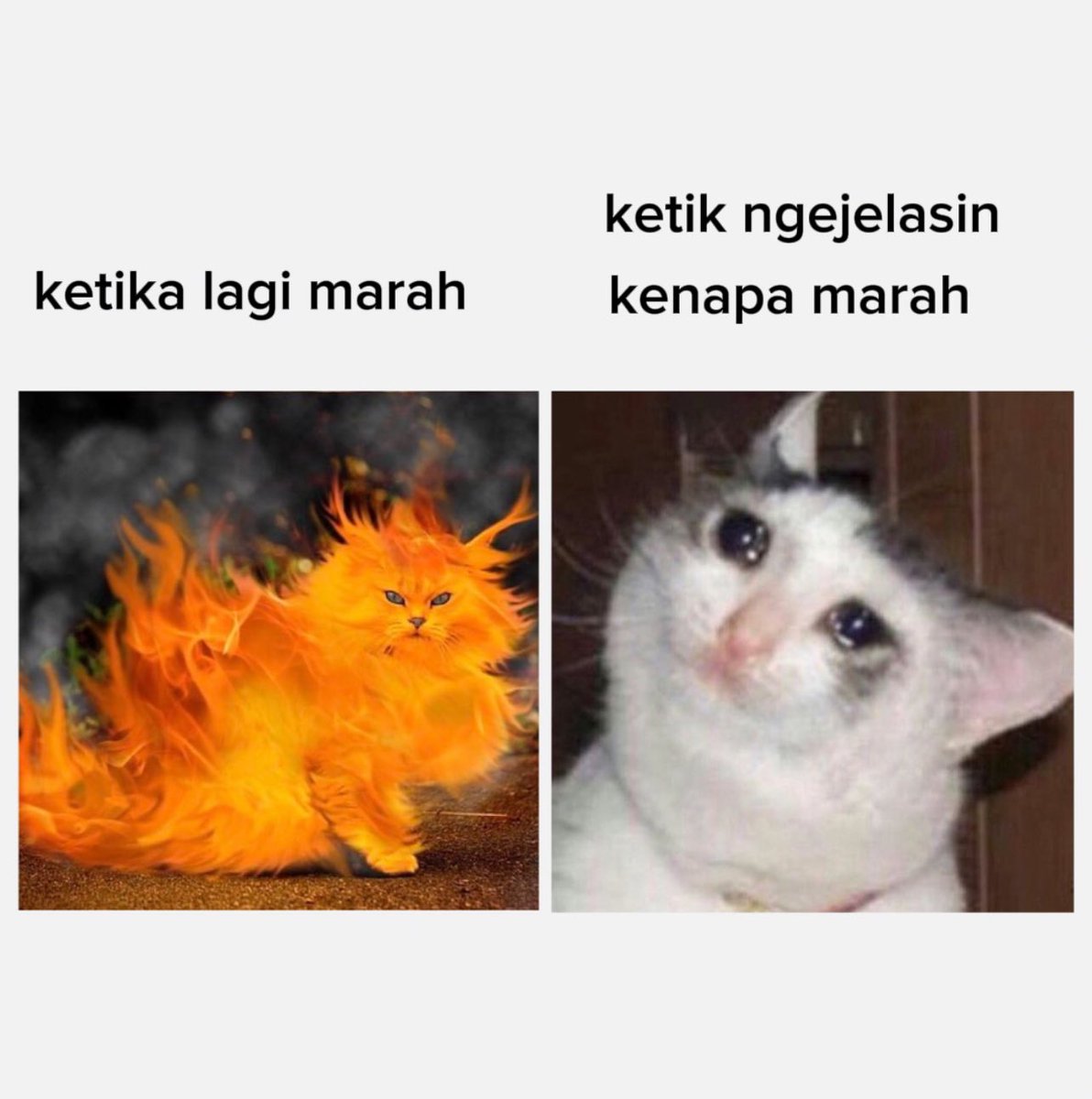 kelvin (@cemburuya) on Twitter photo 