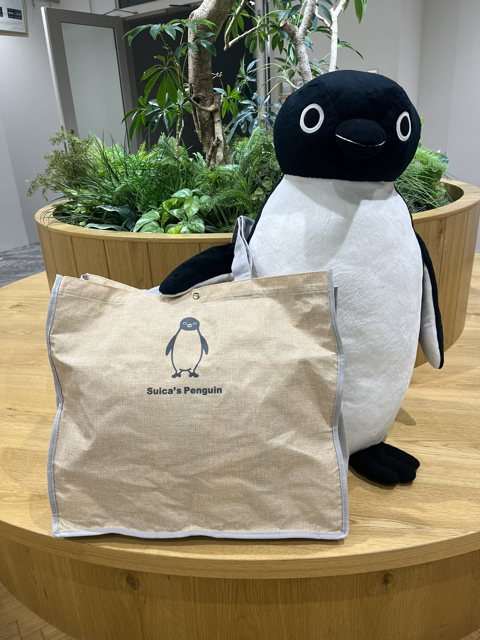 招きSuicaのペンギン　招福萬来 82978-720-