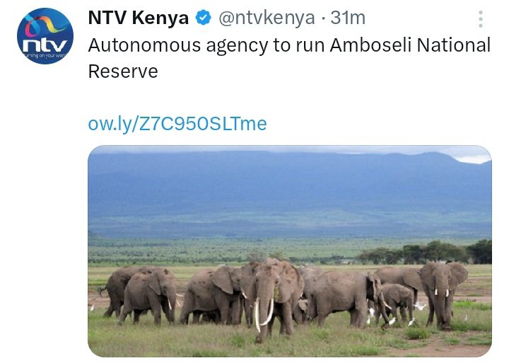 Willis Evans Otieno tweet media