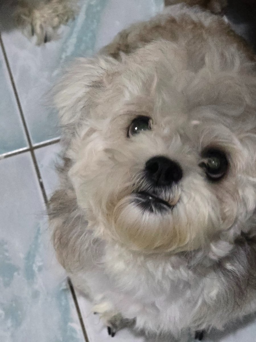 Kimchi 김치ㅣㅣㅣ🌸 tweet media