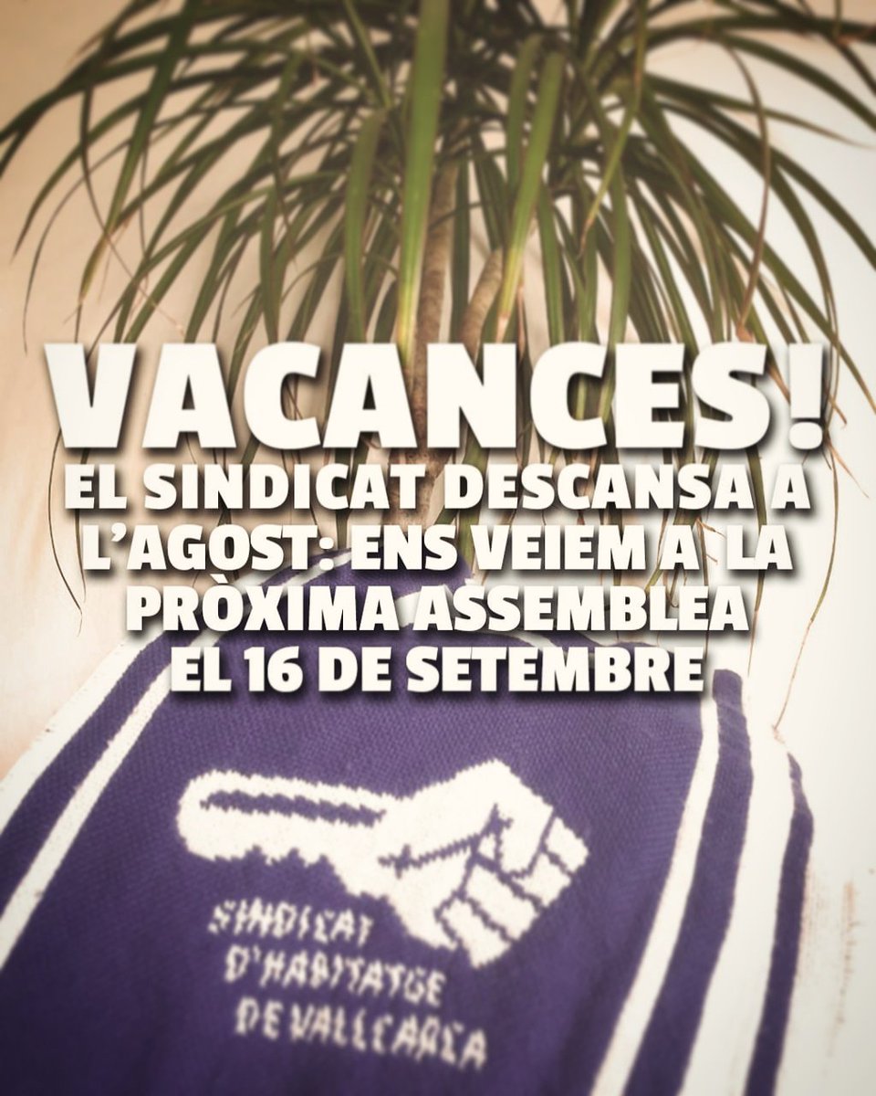 🌞 Ens prenem un merescut descans: no tornarem a fer assemblees obertes fins dilluns 16 de setembre!
☎️ Si ho necessiteu, podeu contactar amb nosaltres al mail o al telèfon.
💙 Bones vacances i #ForçaSindicat!
