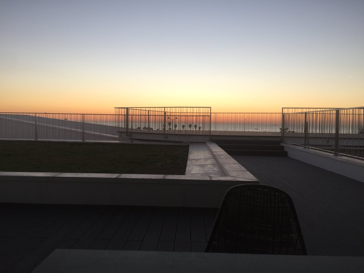 João B. Duarte tweet media