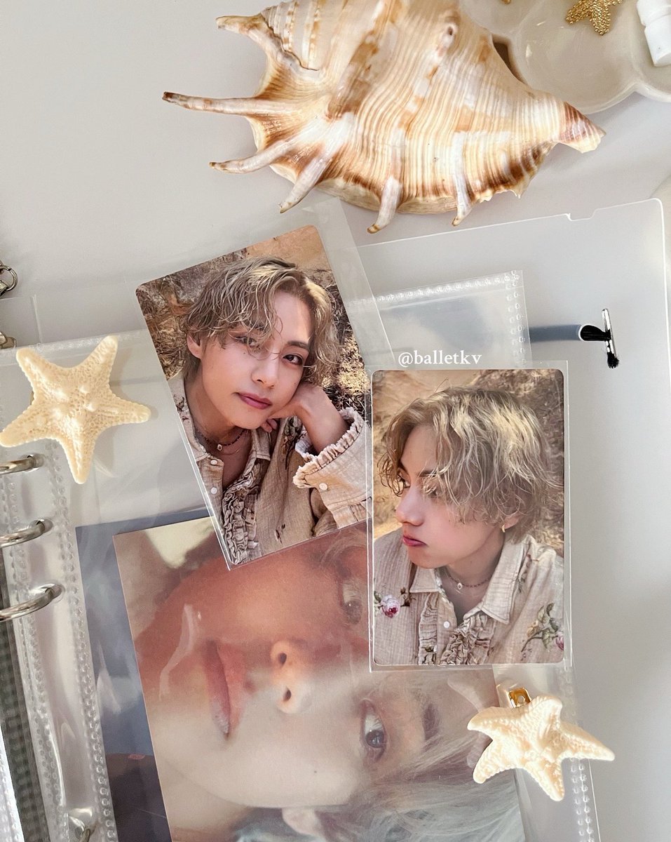 𓆉 ⊹ . ݁˖ 𓇼  ݁˖