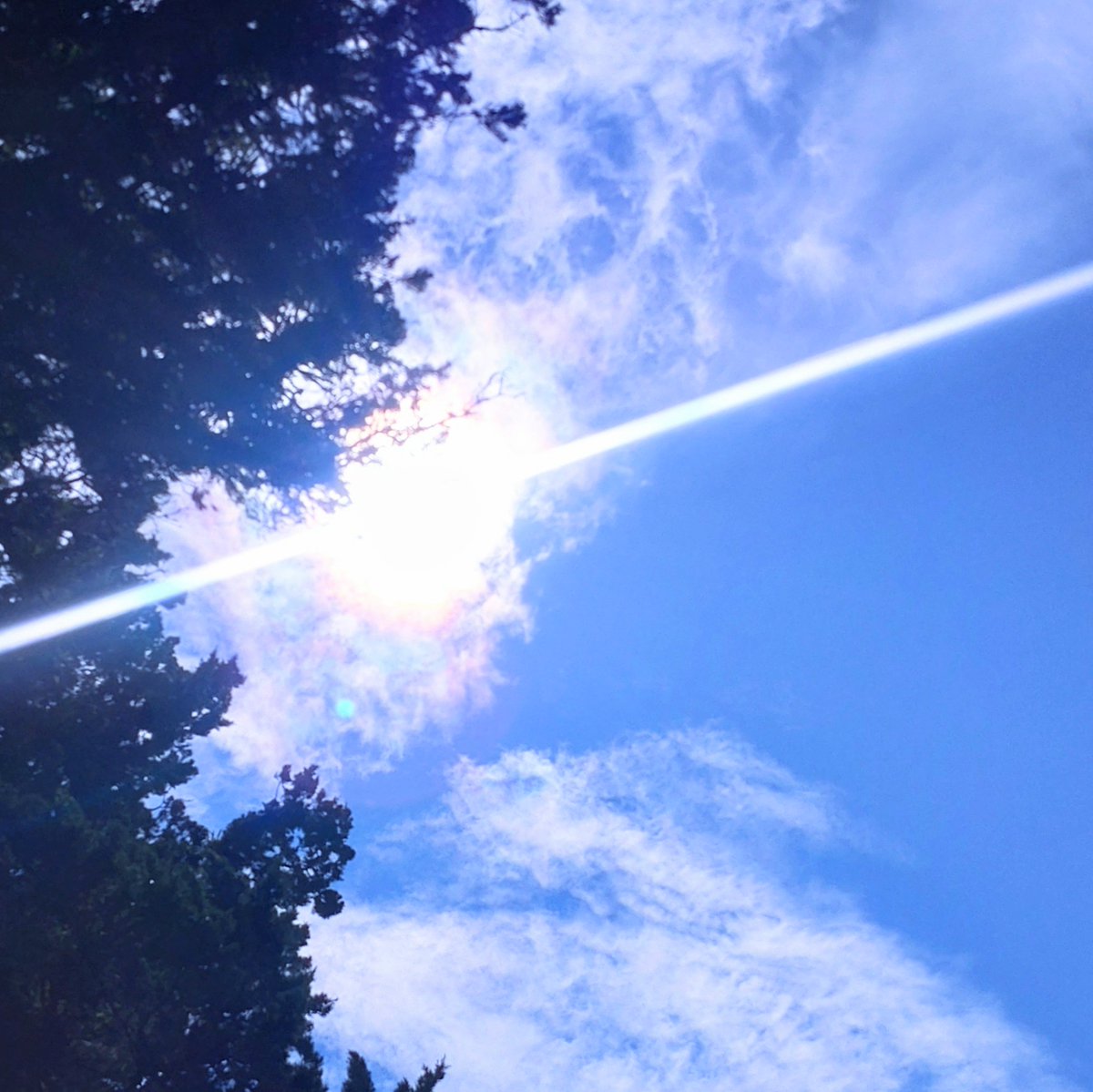 #夏 #sky
灼熱の太陽輝く1日でした🌞