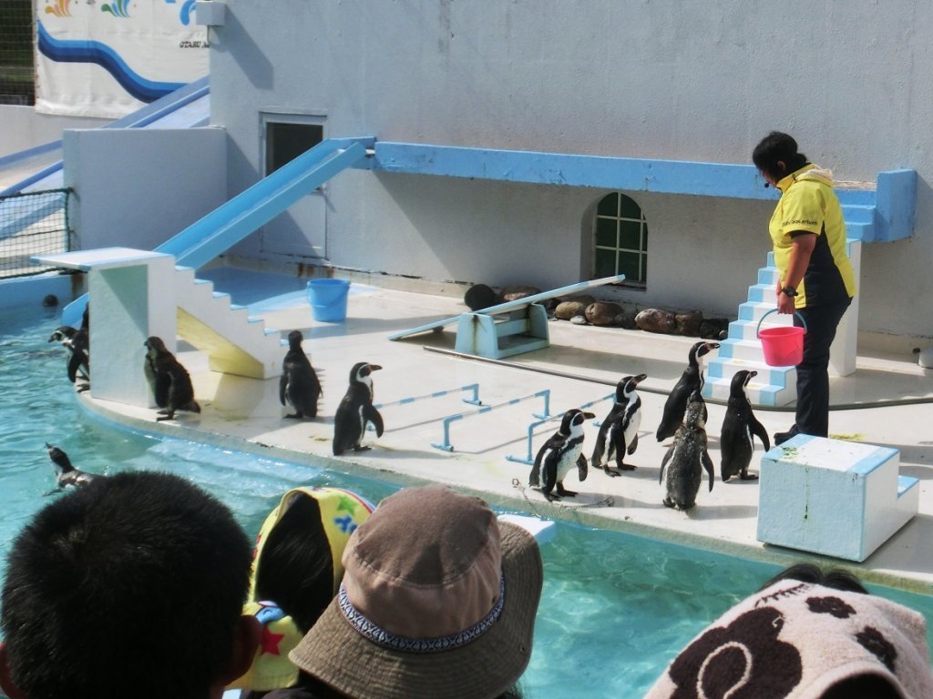 Yogablack23's tweet photo. Otaru Aquarium tampil di dalam Hokkaido Expo 1958 yang mana akuarium ini di perkenalkan sebagai daya tarik dari wisata baru Otaru. Selengkapnya di 👉 https://t.co/efrzjZSi3Y

 #visitjapan #travelingtheworld #otaruaquarium #jepangtravel #japancity 
https://t.co/ViMa7iaPA7 https://t.co/76o0h5YcpB