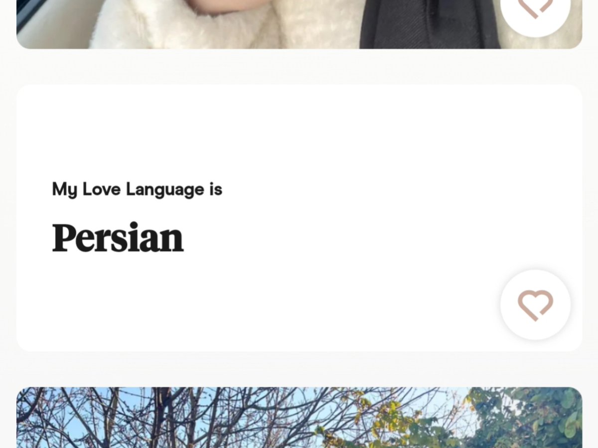 saintblakee's tweet photo. همون موقع که تو این Dating app ها دیدم ملت my love language رو  نوشتن English یا Persian فهمیدم این برنامه‌ها اصلا کار نمیکنه و همه ش شارلاتان بازیه https://t.co/S22wwCBAy1
