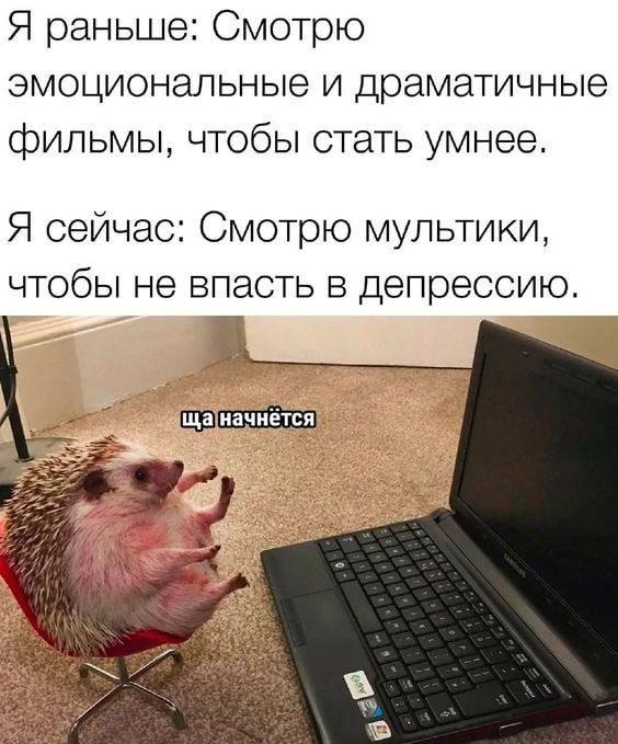 🐸жабья принцесса👑 (@kxiq7u7oc8nsgnc) on Twitter photo 