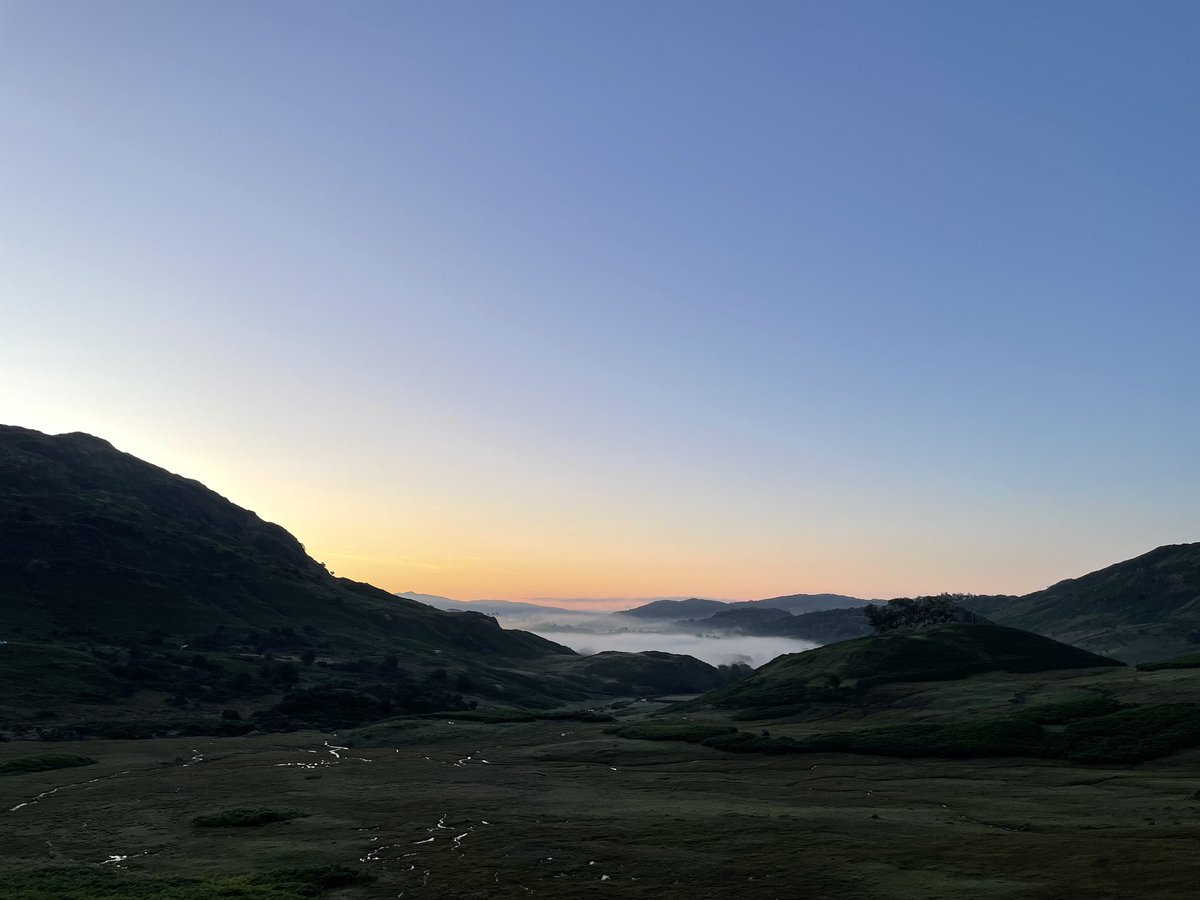 michele 💙 tweet media