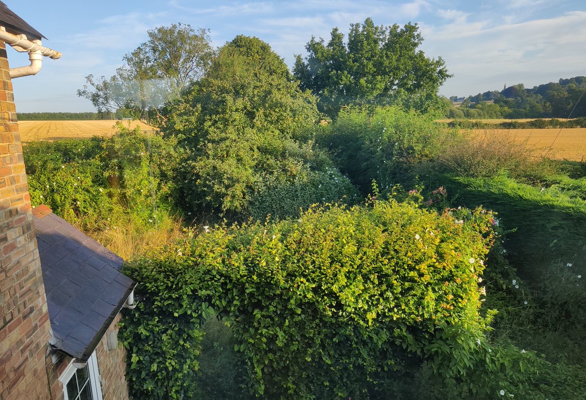 I'm back working after the chaos of a house move. After lots of ups and downs and over 8 months waiting to exchange, I'm pleased to say we're finally in! I love waking up to these views. If you have any work enquiries, I'm now booking in projects for Sept, so get in touch.