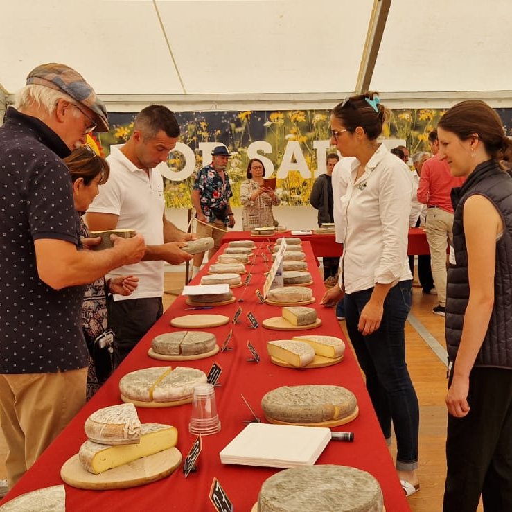 Qui Plus Est (@quiplusest) on Twitter photo Hier, l’AOP #SaintNectaire organisait la 23e édition de son Concours officiel à #Murol. 
Plus de 150 fromages ont été étudiés sous toutes les formes et ce, dans 3 catégories : St-Nectaire fermier, St-Nectaire laitier et Challenge des affineurs. 
Bravo aux gagnants ! 🏆
#Auvergne Hier, l’AOP #SaintNectaire organisait la 23e édition de son Concours officiel à #Murol. 
Plus de 150 fromages ont été étudiés sous toutes les formes et ce, dans 3 catégories : St-Nectaire fermier, St-Nectaire laitier et Challenge des affineurs. 
Bravo aux gagnants ! 🏆
#Auvergne