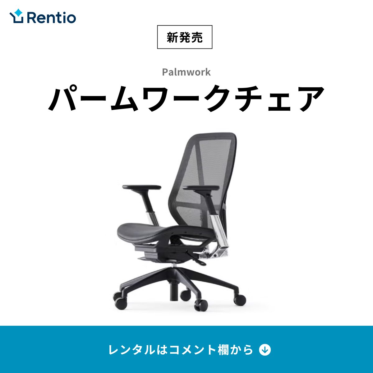 パームワークチェア ホワイト パームワークチェアのカラーはブラックと 
