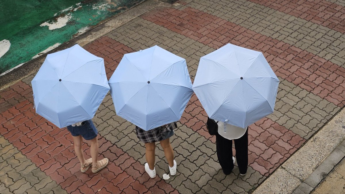 Tissuessue_'s tweet photo. 세븐어스 데뷔 1주년 카페
나란히나란히나란히☔️☔️☔️
비내릴때
희아라우산쓰고 찰칵🥹❤️
너무 귀여워🤭🤭🤭
#PIECES_OF_US
#HAPPY_SEVENUS_DAY
#세븐어스의_마지막조각_희아라
#이레 #IREAH #종희 #희재 #HEEJAE
#세븐어스 #SEVENUS https://t.co/gN74PgpVEH