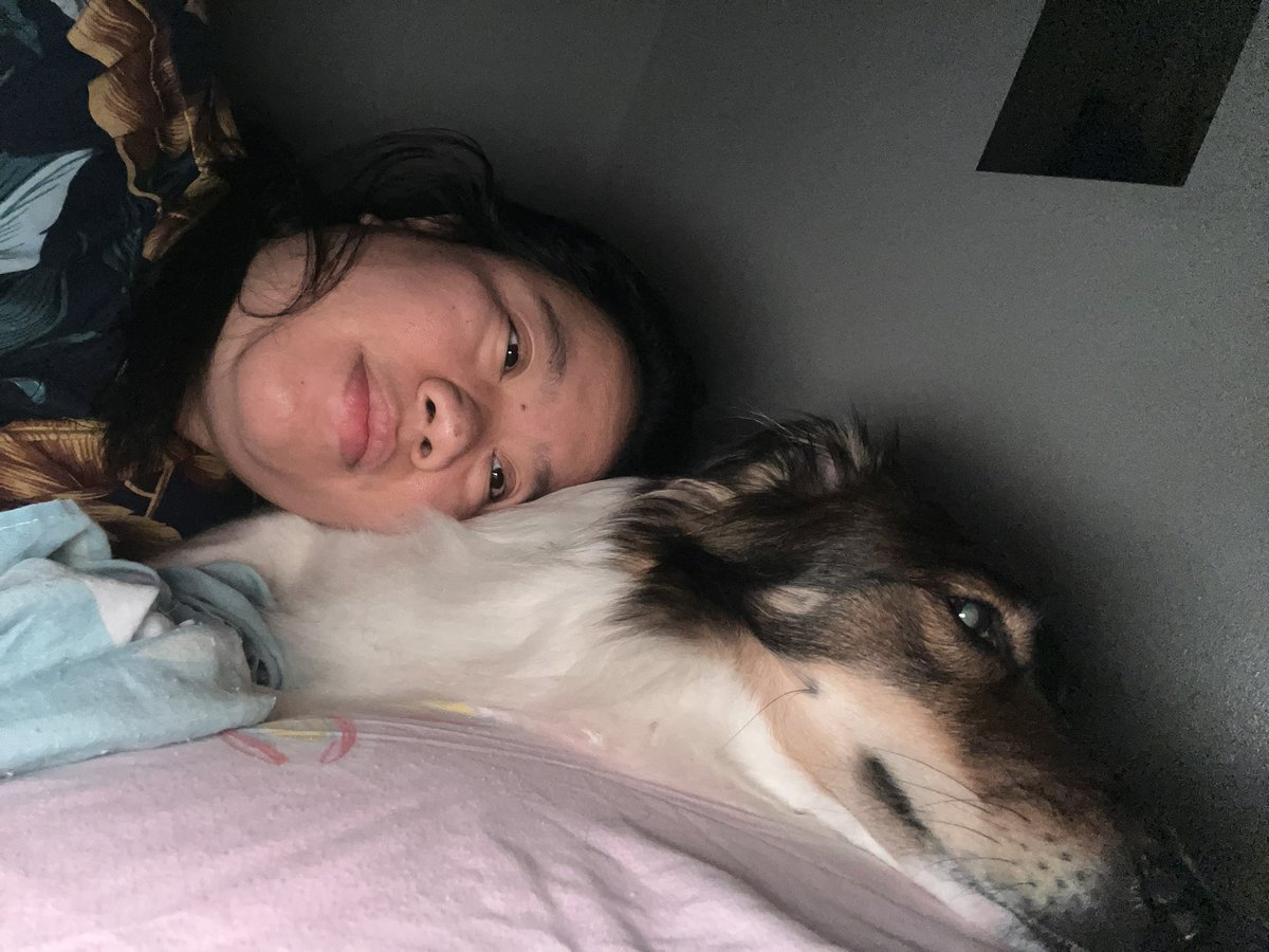 cherrie15234's tweet photo. Mood 😴💤🐶 https://t.co/DJtAzCkZw8