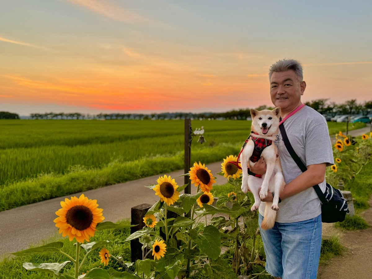 かぼすママ tweet media