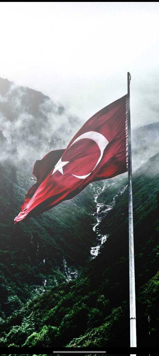 kemalelvan's tweet photo. Yine kazandı kızlar. Helal olsun 🧿🧿🧿 https://t.co/d4cH2hRkmR