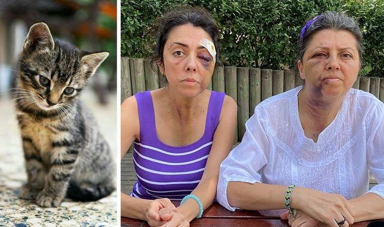 Kedi besleyen kardeşlere darp ve tehdit: Saldırganlar serbest kaldı!
cumhuriyet.com.tr/turkiye/kedi-b…
