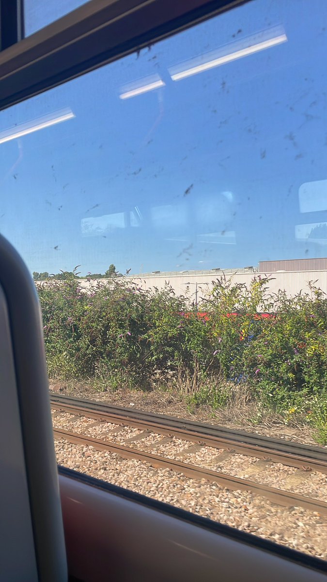 Ben Cuff tweet media