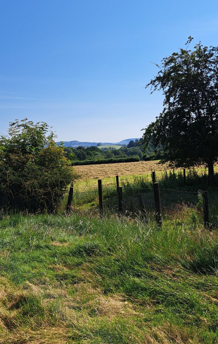 AnnieJo80051383's tweet photo. Harvest time , Mid Wales, this morning... look at the blue hills beyond - they are under threat of giant pylons and turbines, courtesy of Bute Energy and Welsh Labour
#ButeEnergy
@huw4ogmore
#Welshgovernment
#CPRW
#NFU
#FUW
#FarmersWeekly
#FarmersGuardian
@JamesEvansMS https://t.co/4YNJQWjTYY