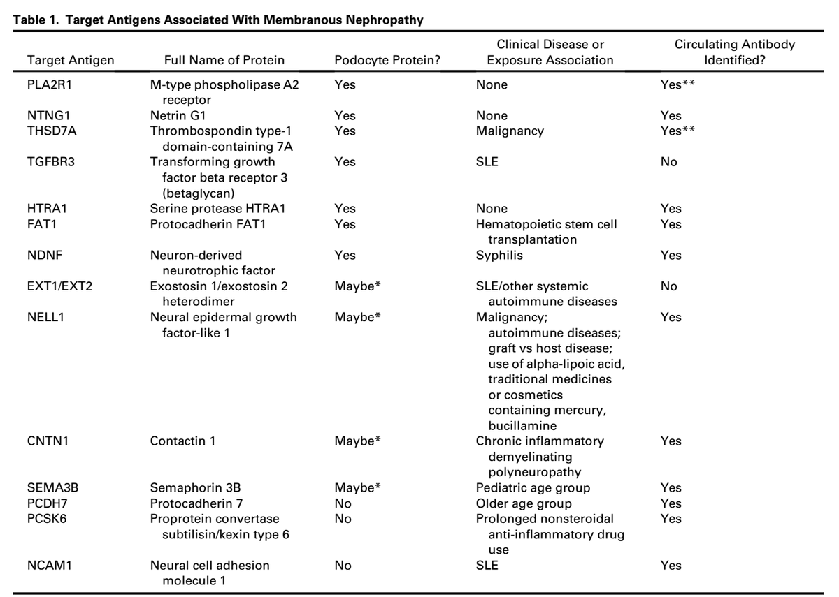 Kenar Jhaveri (@kdjhaveri) on Twitter photo 5) Here now comes the biggie-- Membranous Nephropathy <a href="/d_r_waguespack/">Dia Waguespack</a> <a href="/Joyita_4/">Joyita Bharati</a> <a href="/LaurenceHBeckJ1/">Laurence H Beck, Jr</a> akdh.org/article/S2949-… and don't get lost in the antigens 5) Here now comes the biggie-- Membranous Nephropathy <a href="/d_r_waguespack/">Dia Waguespack</a> <a href="/Joyita_4/">Joyita Bharati</a> <a href="/LaurenceHBeckJ1/">Laurence H Beck, Jr</a> akdh.org/article/S2949-… and don't get lost in the antigens