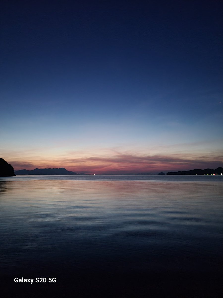 貴重 非売品 レア ポルノグラフィティ ファンクラブ会員限定 Tama脱退 貴重 ポルノグラフィティ ファンクラブ Tama脱退 お知らせ 白玉雅己