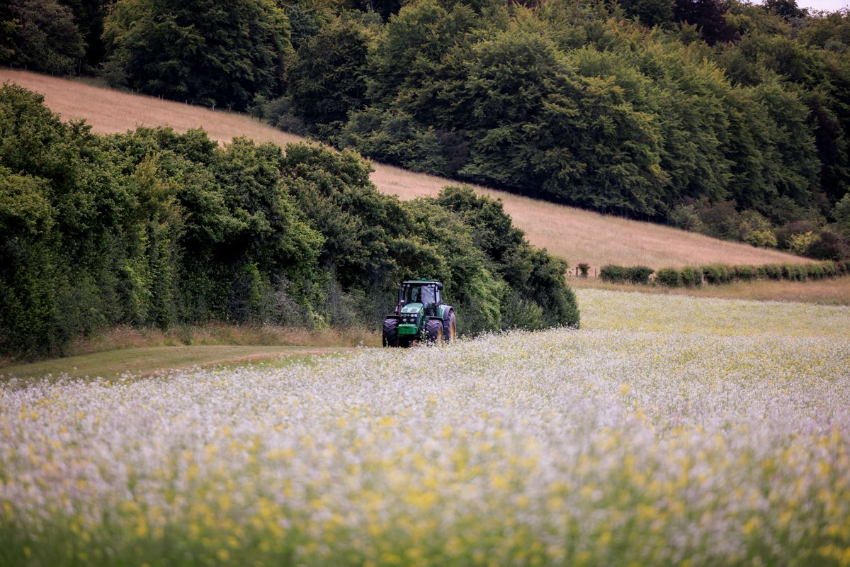 We've launched our new initiative #LandscapeConnections! It will support our most precious landscapes which are facing immense challenges due to a changing climate, changes to agriculture and rapidly declining nature and biodiversity.

Discover more 👉 heritagefund.org.uk/news/ps150mill…
