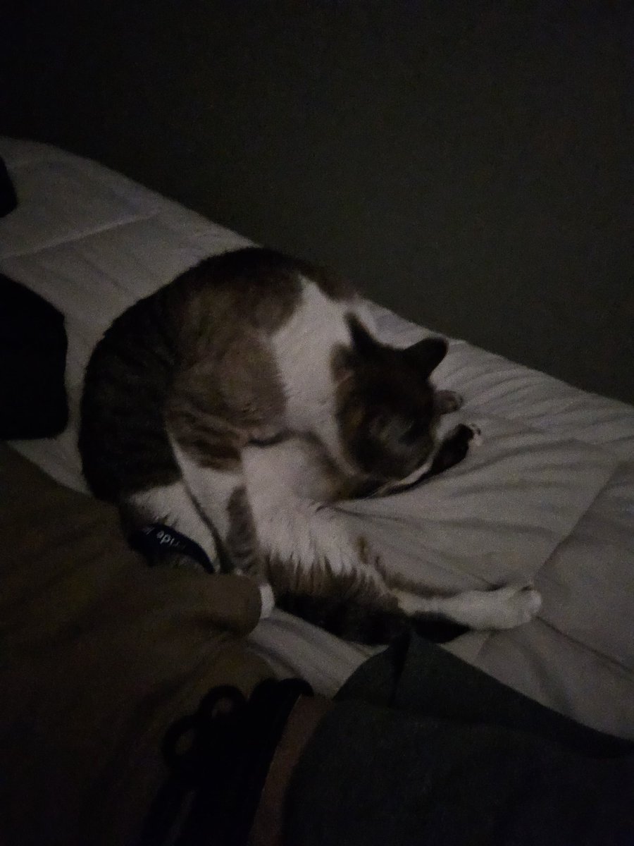 PoppyCrockz's tweet photo. Wtf is he doing? https://t.co/jne1WrTA5z