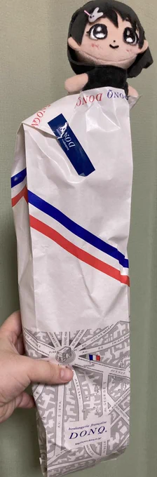でかすぎフランスパン買ってきた 