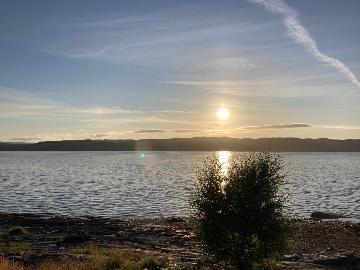 gracie mae bradley *is not here much* tweet media