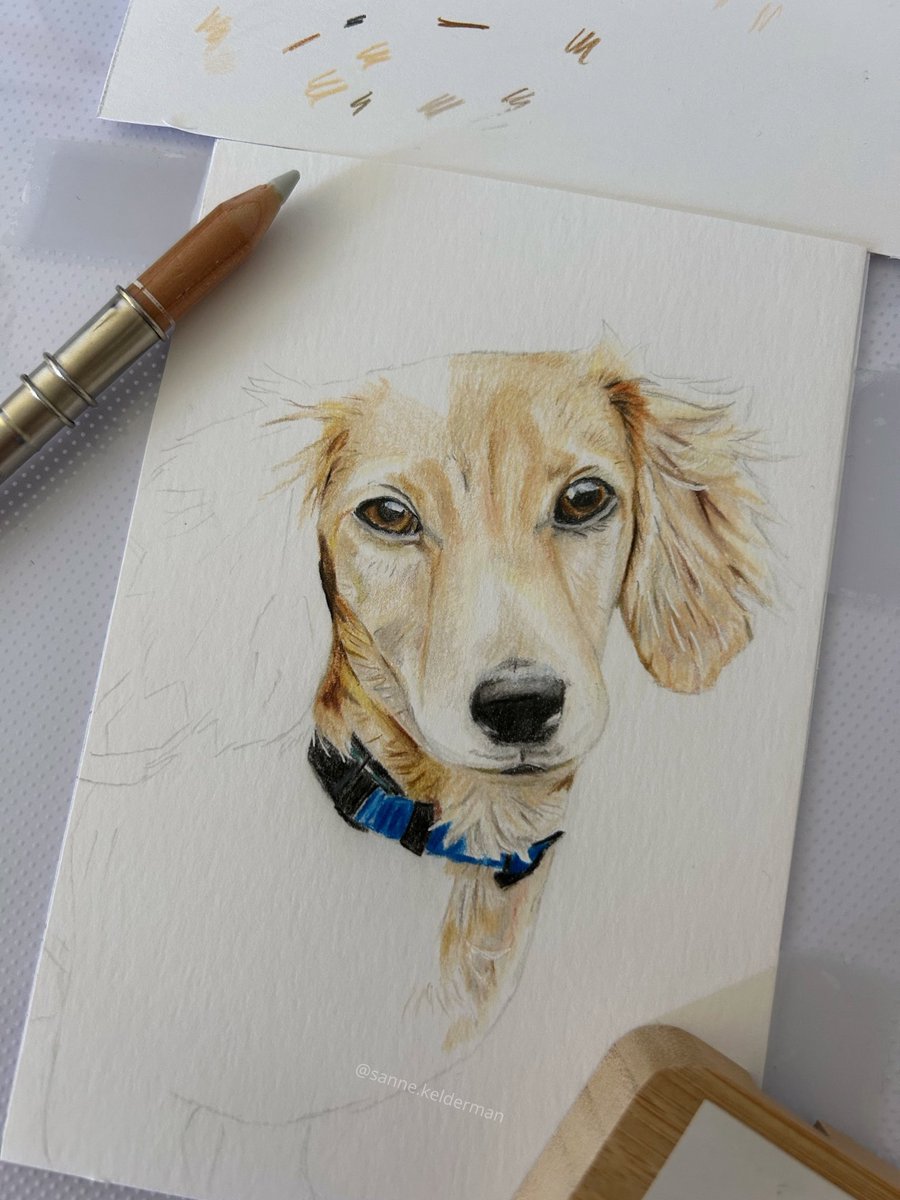 artbysanne's tweet photo. Leo Leclerc 🐾 { @Charles_Leclerc } 
-
( work in progress ⏳ ) 
-
#CharlesLeclerc #f1 #Charles16 #Leclerc #artwork #artist https://t.co/gatKCP69AF