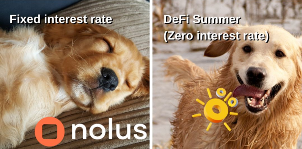 falapsky's tweet image. Fixed interest rate does not satisfy you? #DeFiSummer is still there ☀️😎

#Nolus