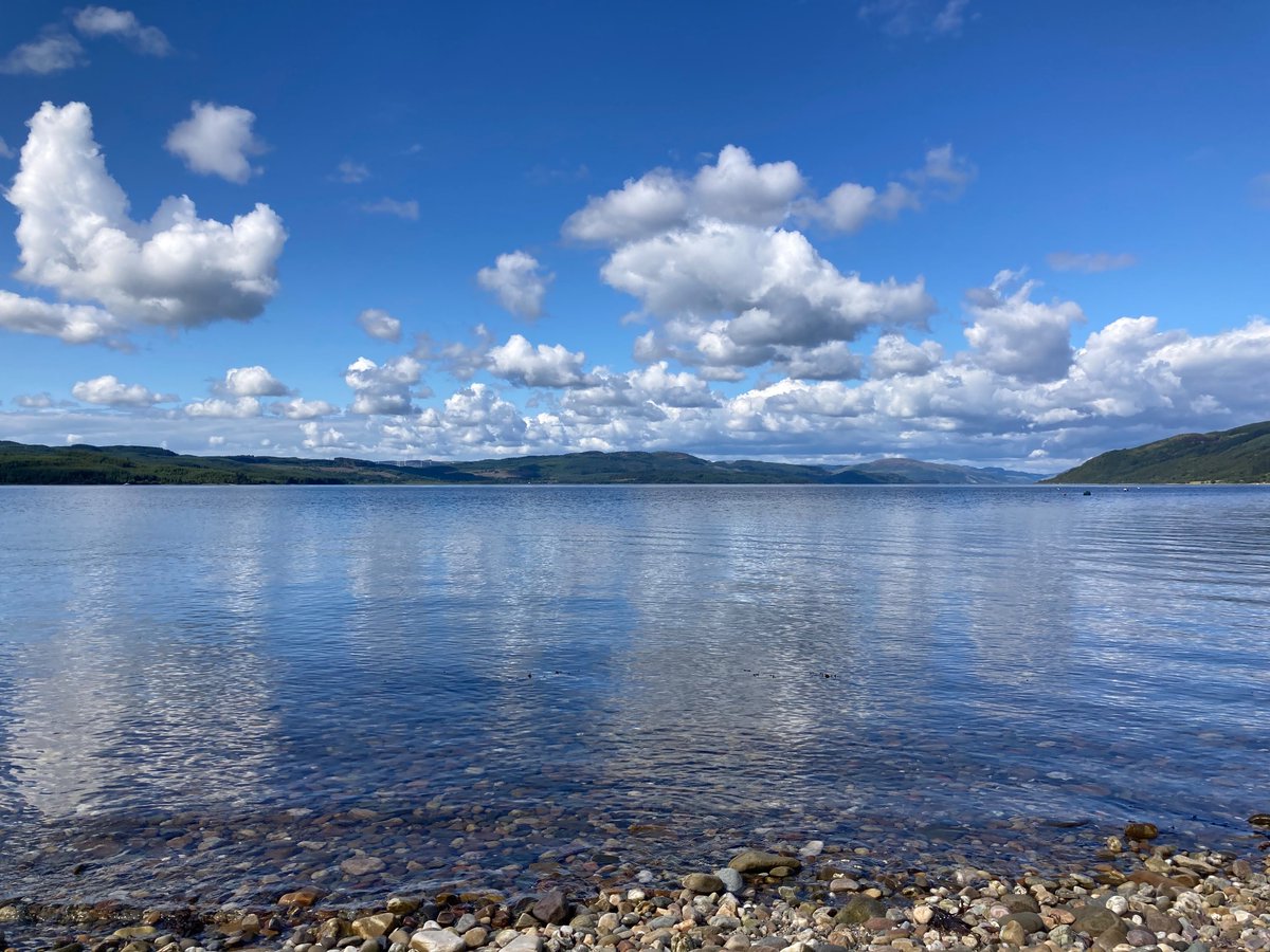 gracie mae bradley *is not here much* tweet media