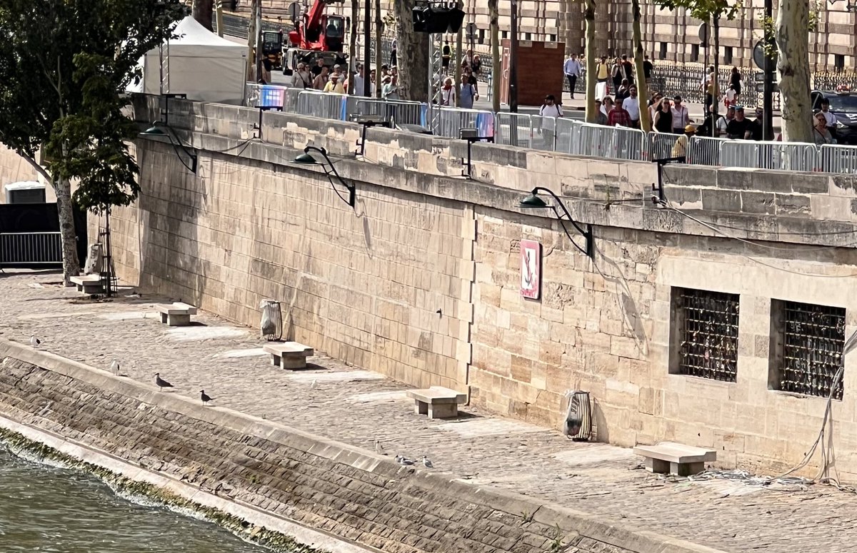 DaDaParis tweet media