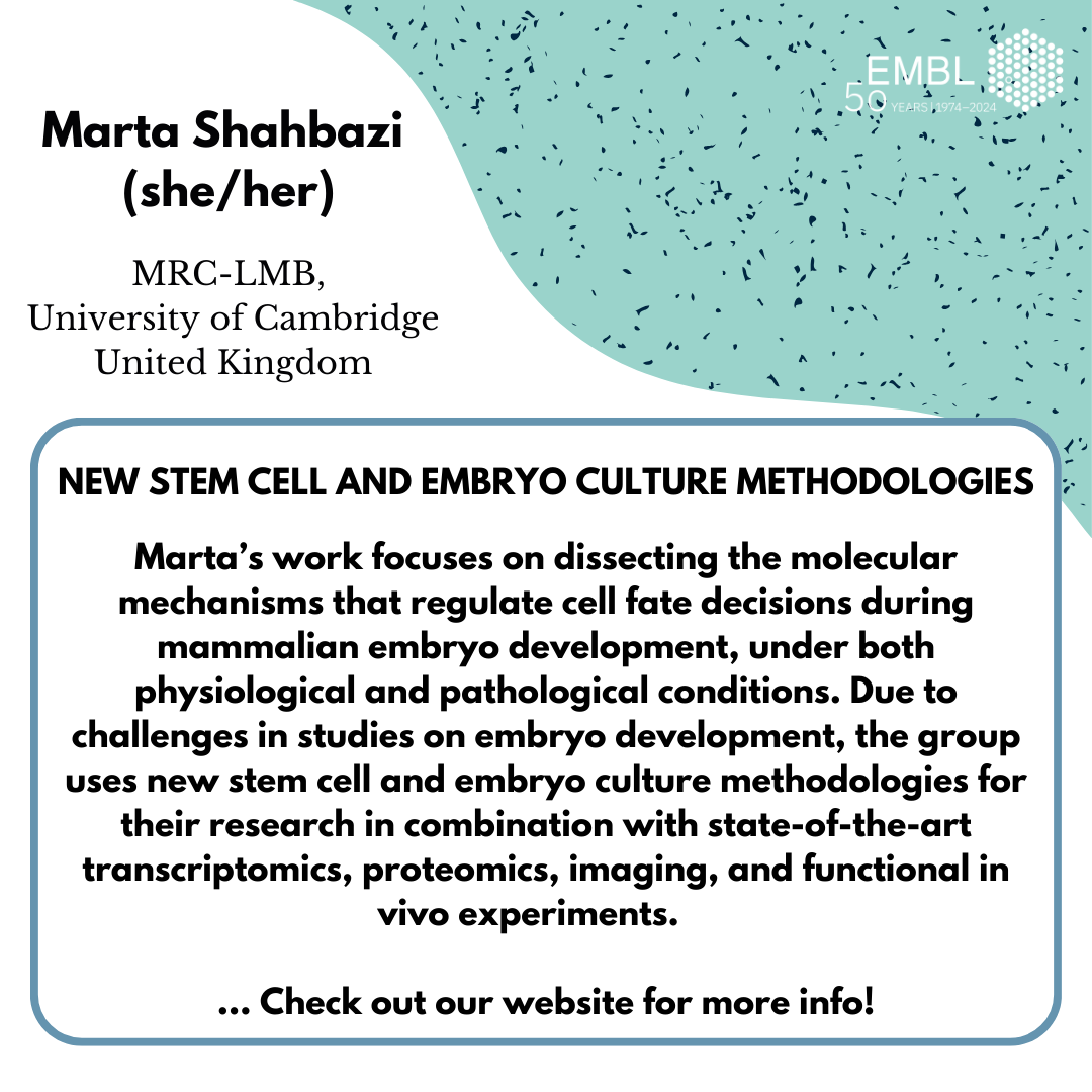 EMBLPhDSymp's tweet photo. We are very excited to present Marta Shahbazi (@Marta_Shahbazi ) in our theme #BeyondModelOrganisms. Her lab focuses on dissecting the molecular mechanisms that regulate cell fate decisions during mammalian embryo development using new stem cell and embryo culture methodologies! https://t.co/W7o57Umb1N
