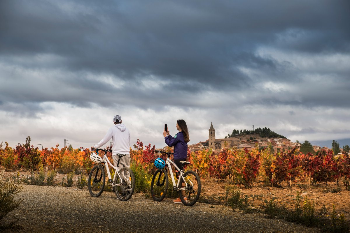 🍷En el corazón de La Rioja y a un paso de la capital de vino ¡TODO INCLUIDO en AGOSTO! hotel 4*, spa, menú degustación con vistas al viñedo, alquiler de bicis, y por supuesto, visita a la bodega y cata. Más info: bodegasfya.com/promociones-ex…