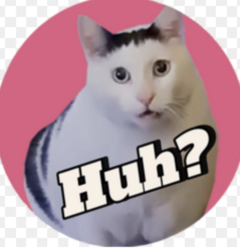 Meme888Sol67064's tweet photo. We are launching soon🚀 $HUHH is a decentralized meme coin built on #Solana First 100 Address 10,000,000 $HUHH Follow, like, RT (Drop your $SOL wallet)  Snapshots 24 hours

❤️+🔁+Follow @sloanameme11

#crypto #solana #memecoin #pepe https://t.co/SDAfBba5h7