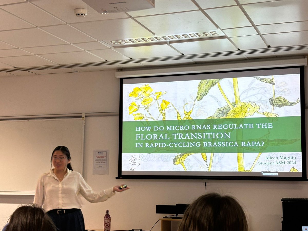 JICStudentVoice's tweet photo. @aileenmagilin presenting her research on Brassica rapa micro RNAs regulating the floral transition! #jictslstudentasm2024 https://t.co/heGU1sSXse
