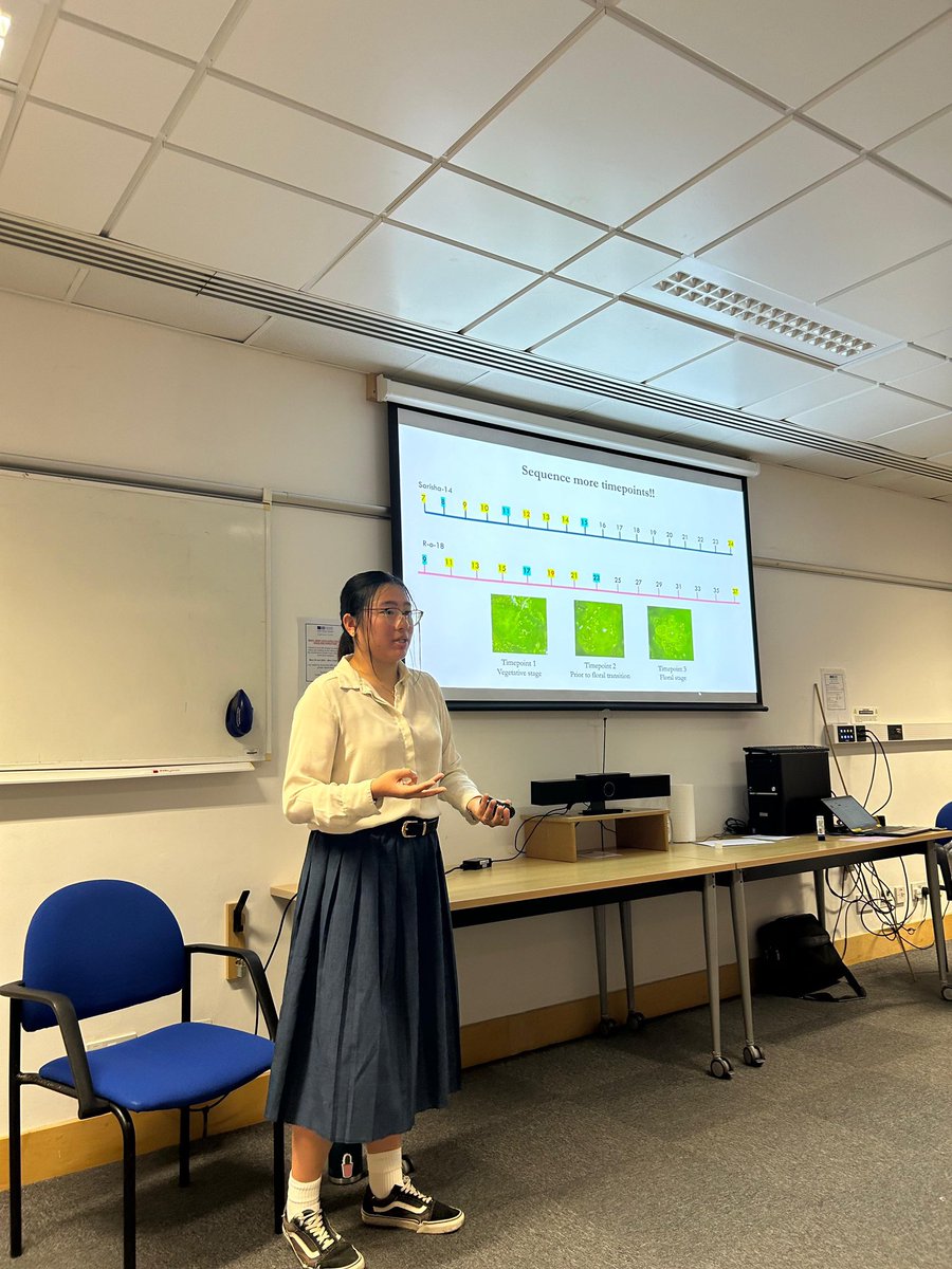JICStudentVoice's tweet photo. @aileenmagilin presenting her research on Brassica rapa micro RNAs regulating the floral transition! #jictslstudentasm2024 https://t.co/heGU1sSXse