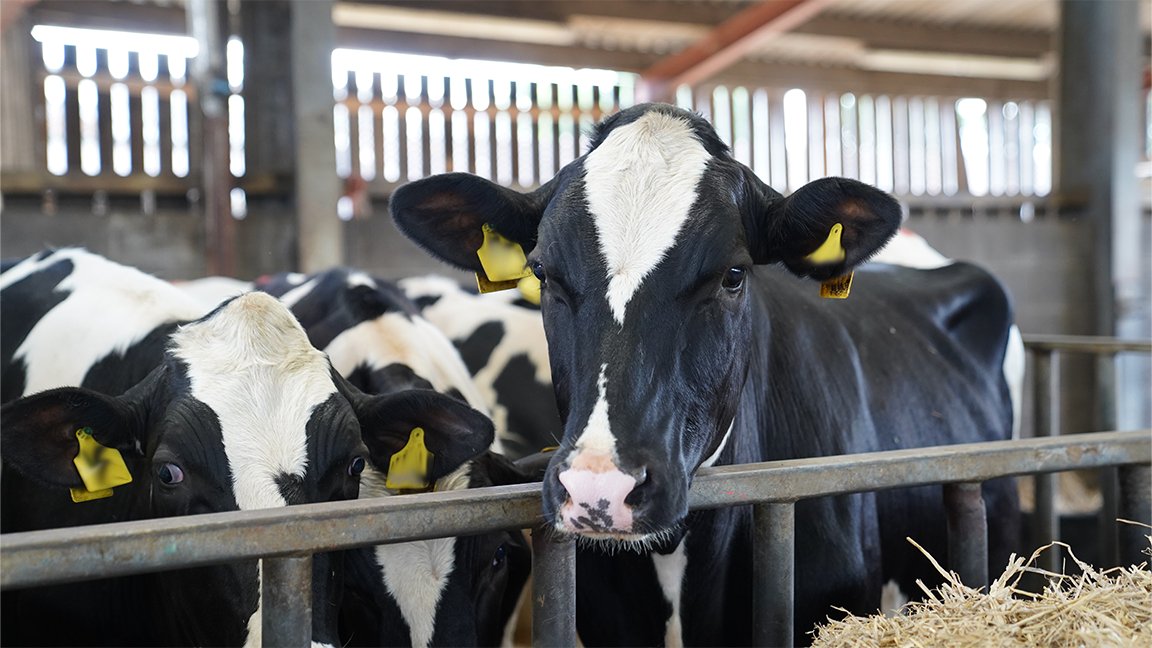 HMPPS in Wales / HMPPS yng Nghymru tweet media