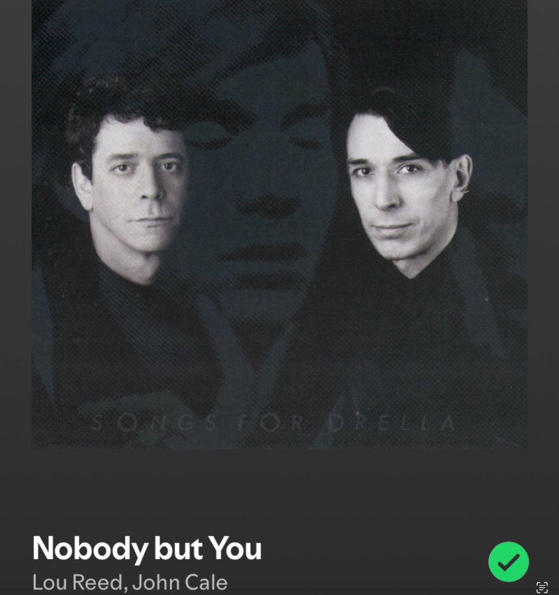 christopher loughlan tweet media