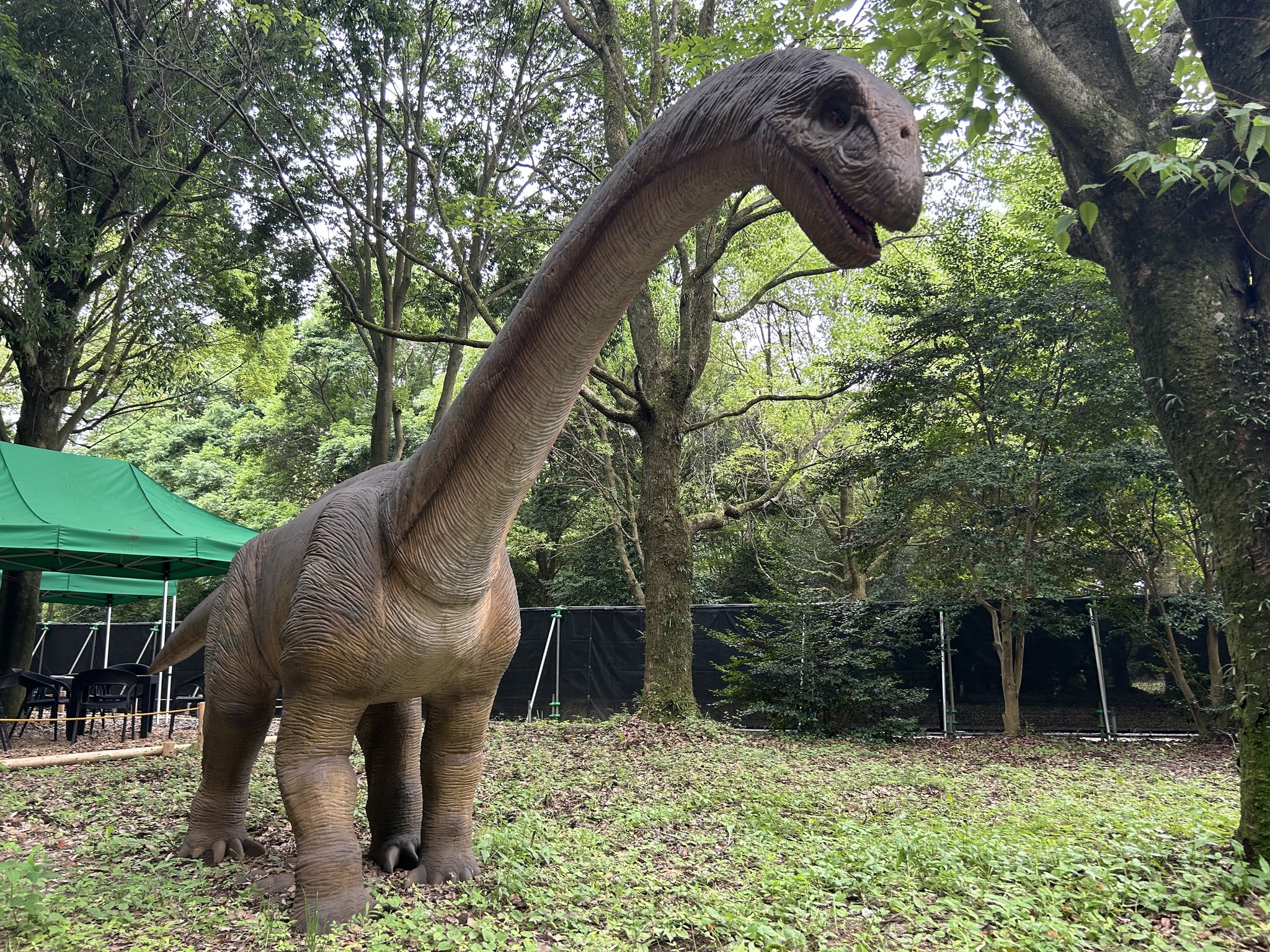 とちぎわんぱく公園 on X: 
