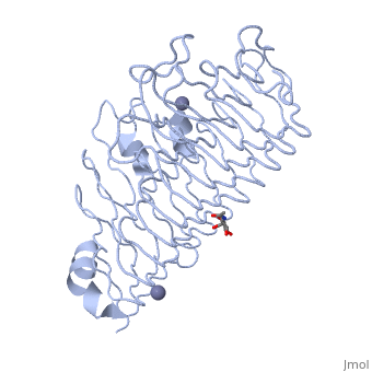 PatNavarroUCAM's tweet photo. The polygalacturonase breaks down the cell walls, causing a rapid softening of the fruits, which soon lose their commercial value. 🥭🍒🍓This study investigated the effect of pulsed light with > 90 % reduction of enzyme activity!!👩‍🔬
#pulsed #enzyme
👉https://t.co/oTe2DdSKAF https://t.co/HFBoBGQR1L