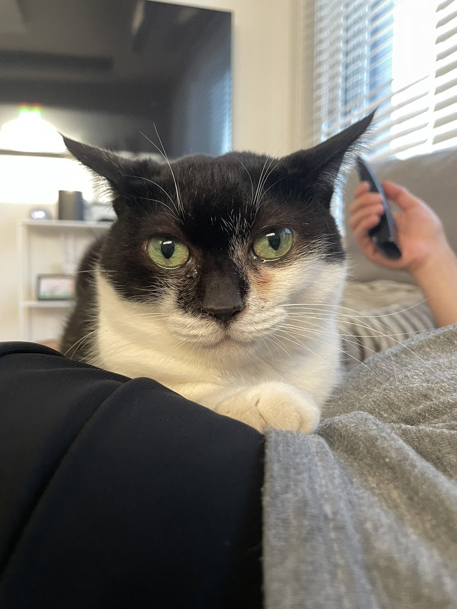 아ㅃ ㅏ는 콩심이 ㄲ ㅓㅇ ㅑ