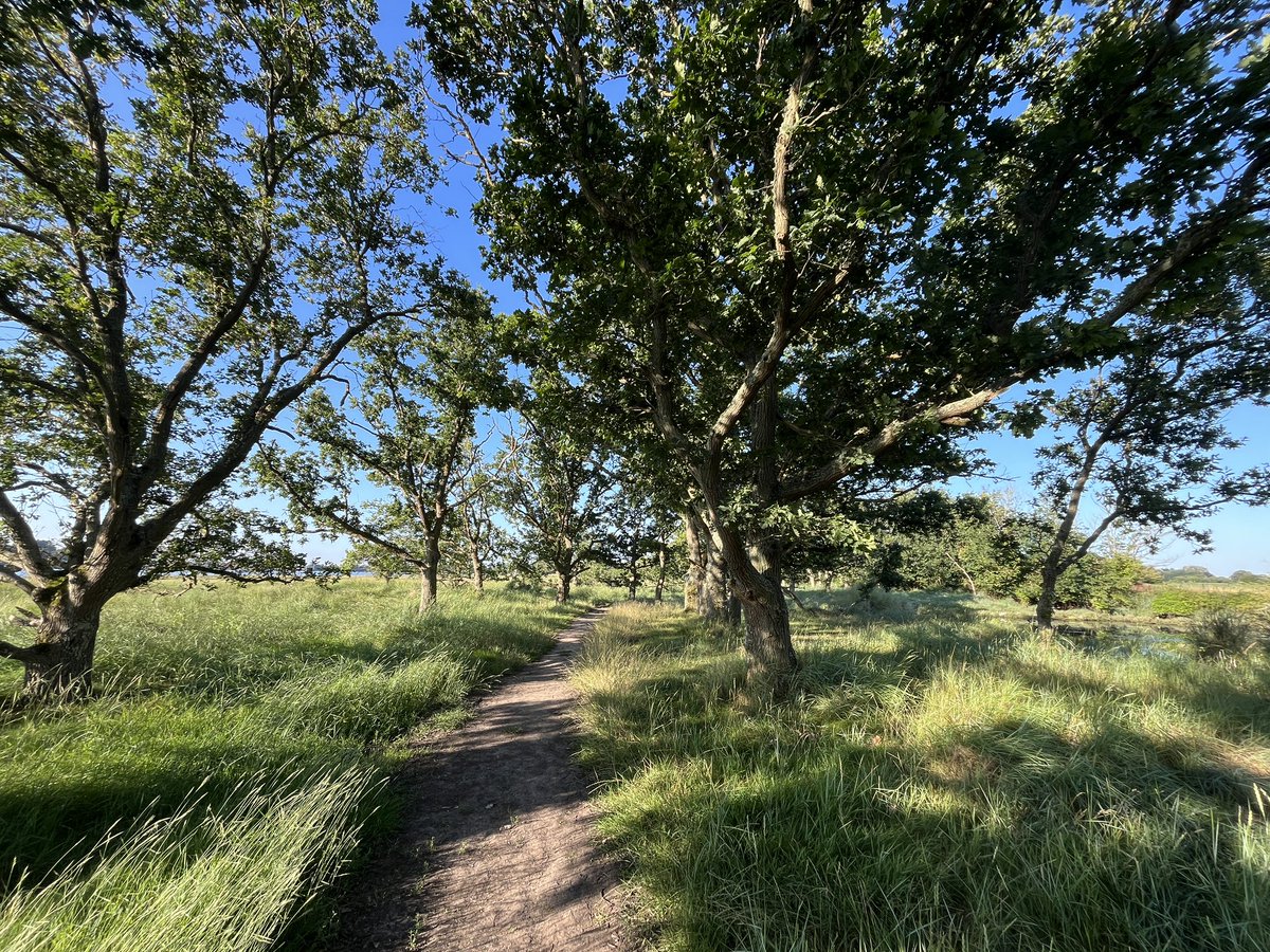 Adele Julier tweet media