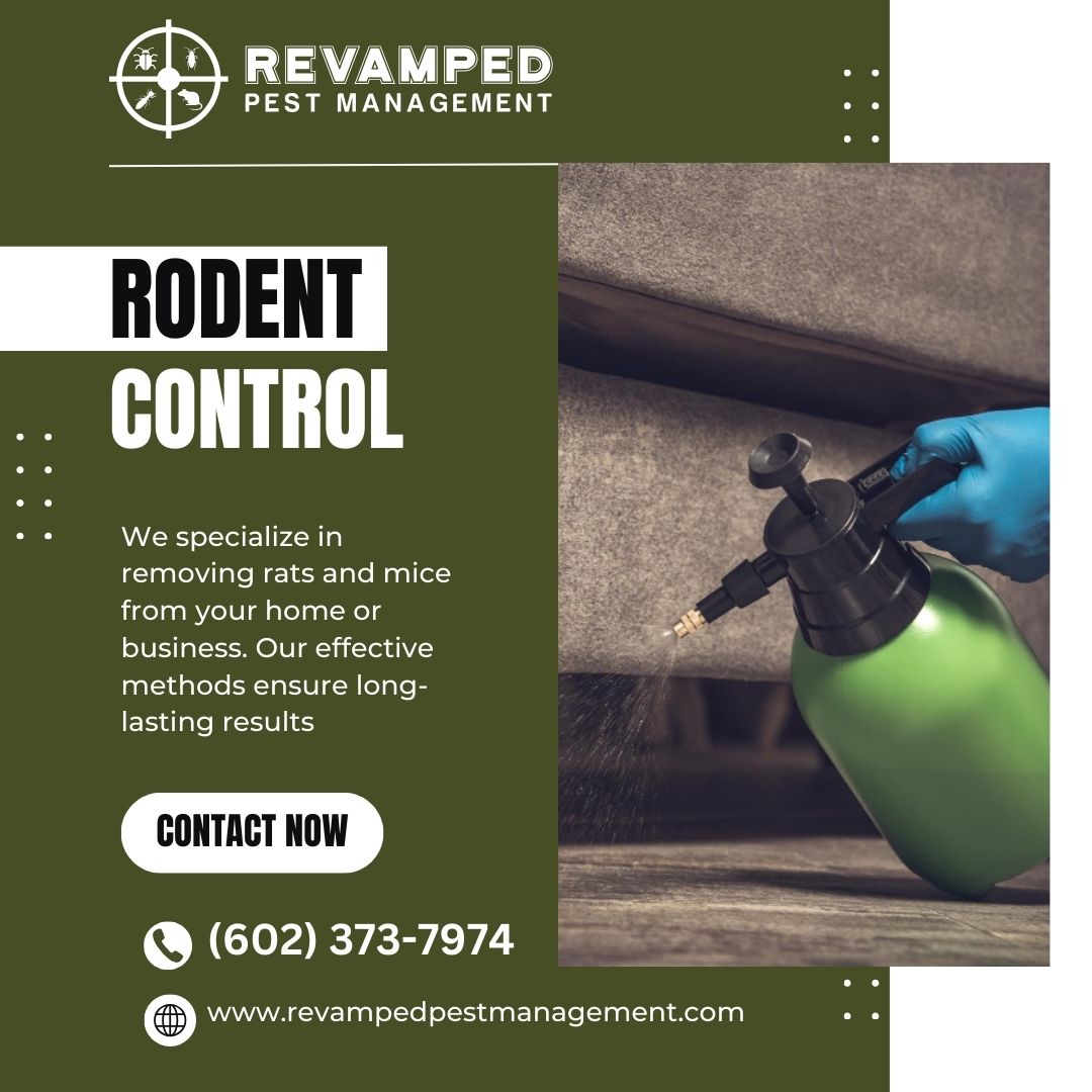 Revampedpest's tweet image. Say goodbye to unwanted rodents with our professional rodent control services. Call us today at 06023737974 or visit - revampedpestmanagement.com/rodent-control…!
#RodentControlService #GeneralPestControl #pestcontrolcompany #emergencypestcontrol #AtticInsulation #atticinsulationservices