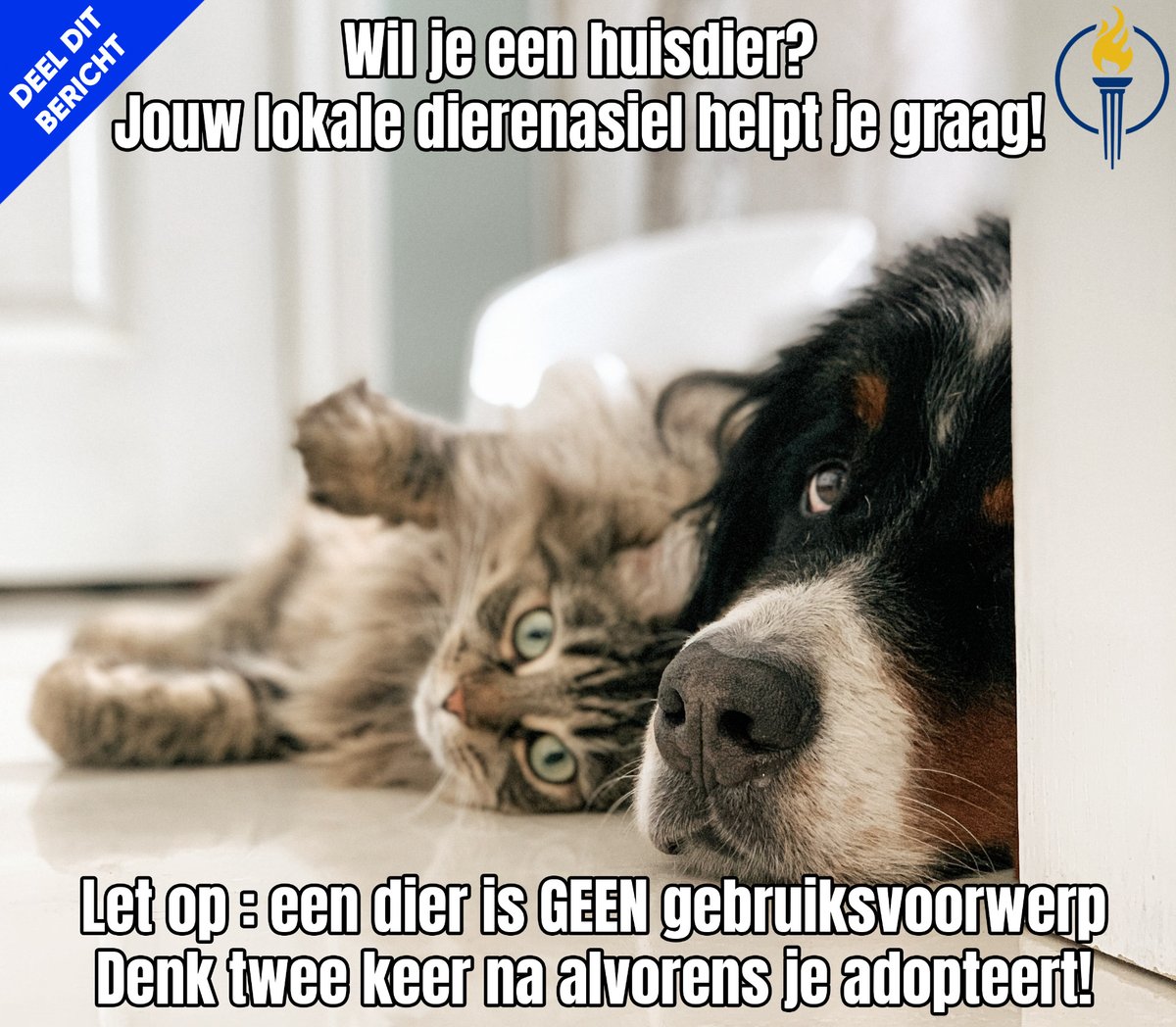liberalewereld's tweet photo. Vier pasgeboren katjes werden op zaterdag gevonden in een vuilnisbak aan een bushalte.😡

➡️ Alle dierenasielen worden massaal geconfronteerd met jonge katjes die afgestaan worden, nu mensen op vakantie gaan.🐾

➡️ Wil je een kat? Ga zeker eens kijken in een #dierenasiel. https://t.co/ImQqxEuJIE