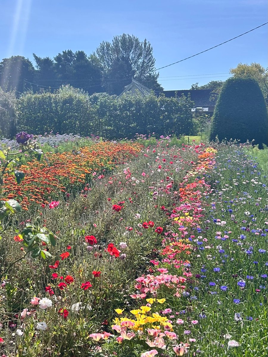 Last chance this Wednesday to see the #kitchengarden in its prime as we're closed 7 &amp; 14 August.